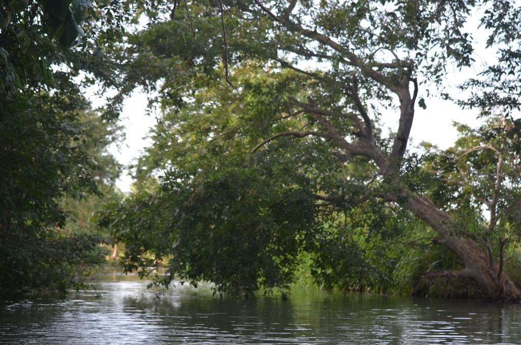 Makulu Safari Camping Udawalawe Esterno foto